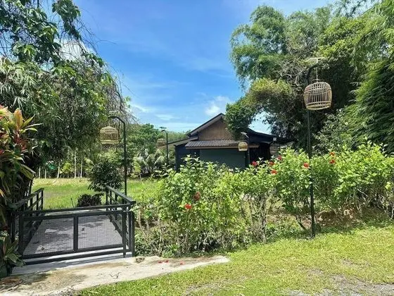 Oda