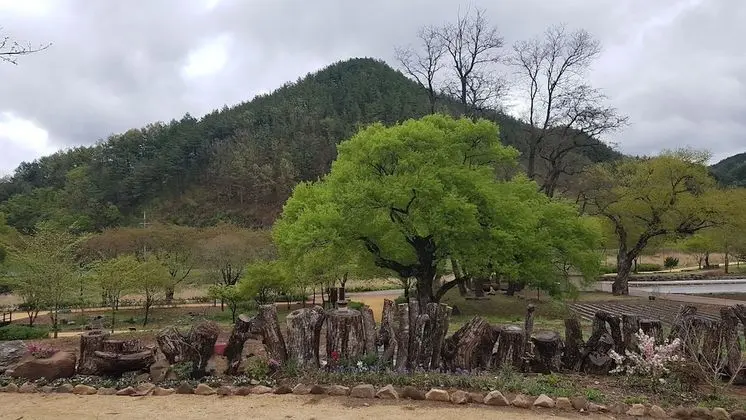 Tek Büyük Yataklı Oda, Japon Şiltesi, Dağ Manzaralı, Bahçeli (Starlight, No indoor bathroom)