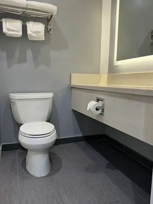 Executive Tek Büyük Yataklı Oda, 1 En Büyük (King) Boy Yatak, Balkon