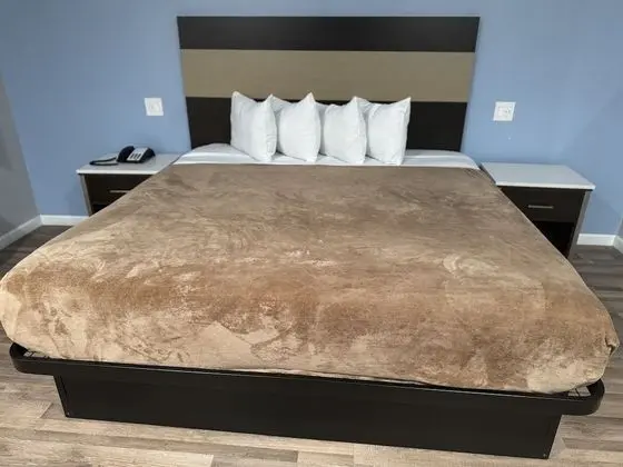 Standard Tek Kişilik Oda, 1 En Büyük (King) Boy Yatak