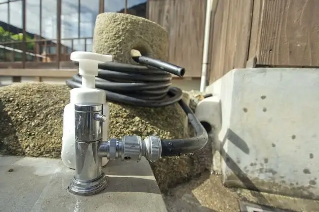 Traditional Ev (Japanese Style )
