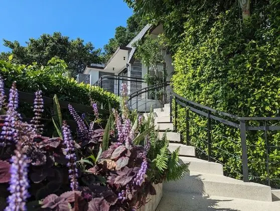 Deluxe Villa, 3 Yatak Odası