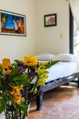 Standard Tek Büyük Yataklı Oda, Birden Çok Yatak, Sigara İçilmez, Havuz Manzaralı (Junior Suite)