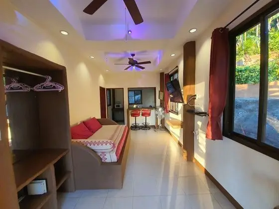 Big Studio Apartment