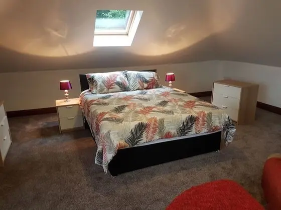 Comfort Stüdyo, 1 Yatak Odası, Banyolu/Duşlu