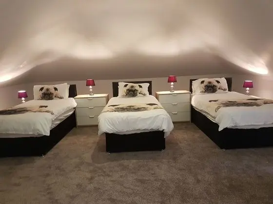 Comfort Stüdyo, 1 Yatak Odası, Banyolu/Duşlu