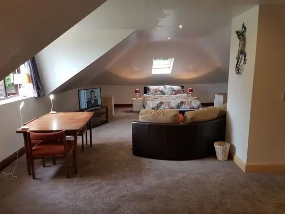 Comfort Stüdyo, 1 Yatak Odası, Banyolu/Duşlu