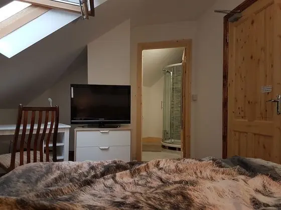 Economy Tek Büyük Yataklı Oda, 1 Yatak Odası, Özel Banyo