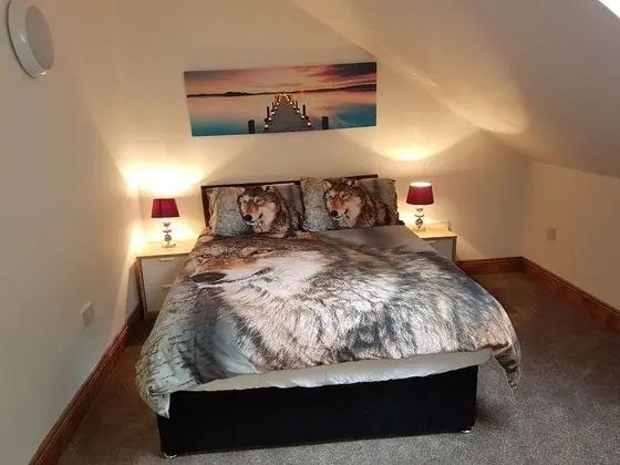 Economy Tek Büyük Yataklı Oda, 1 Yatak Odası, Özel Banyo