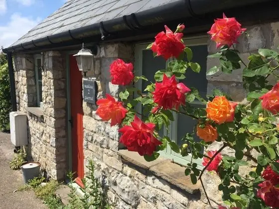 Kır Evi, Özel Banyo (2 Swallow)