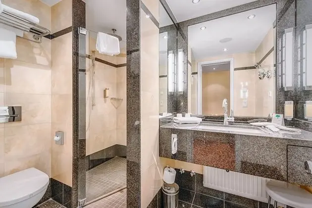 Business Büyük Yataklı Tek Kişilik Oda, Özel Banyo
