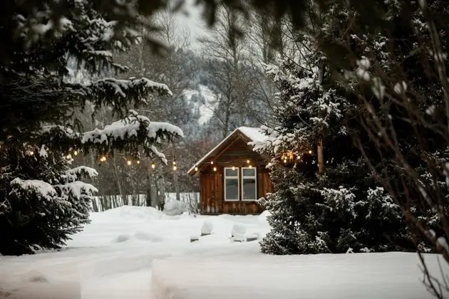 Rendezvous Cabin (2 Queen)
