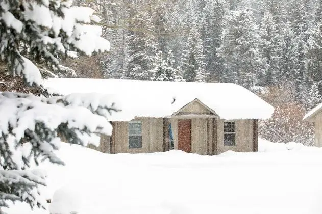 Twin Cabin (2 Queen, Kitchen)