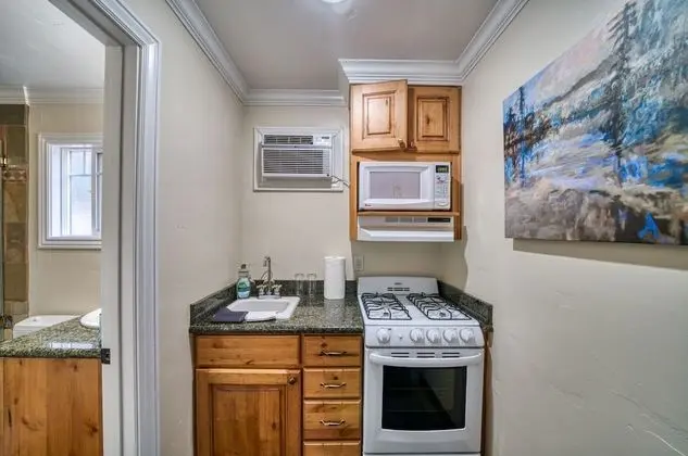 Lodge Unit #4-Studio, Kitchenette