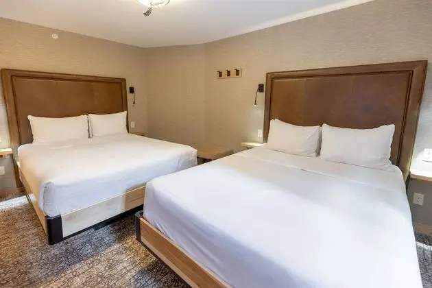 Superior One Bedroom Suite 2 Queens