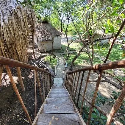 Comfort Kulübe, Bahçe Manzaralı