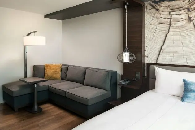Deluxe Oda, 1 En Büyük (King) Boy Yatak ve Çekyat, Şehir Manzaralı