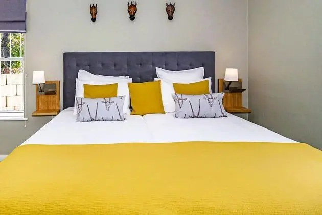 Comfort Stüdyo (Ingadi)