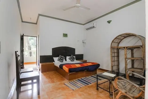 Deluxe Stüdyo, 1 Büyük (Queen) Boy Yatak, Balkon, Zemin Kat