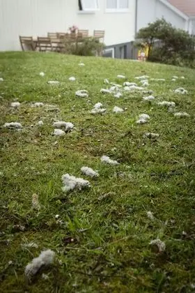 Panoramic Apart Daire