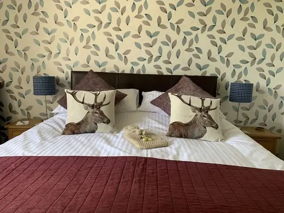 Tek Büyük Yataklı Oda, Banyolu/Duşlu (Room 1)