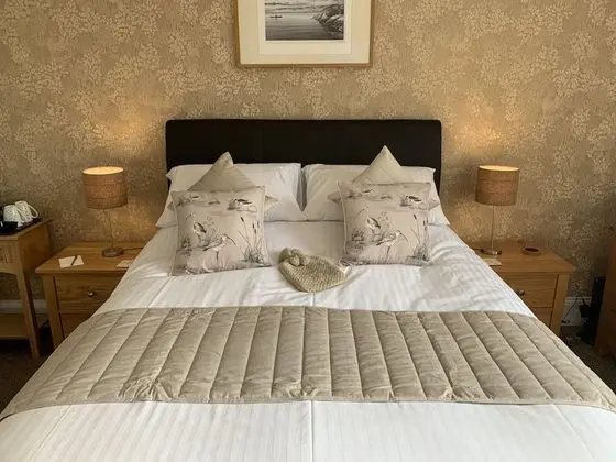 Tek Büyük Yataklı Oda, Banyolu/Duşlu (Room 2)