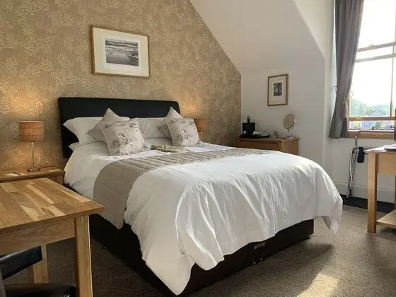 Tek Büyük Yataklı Oda, Banyolu/Duşlu (Room 2)