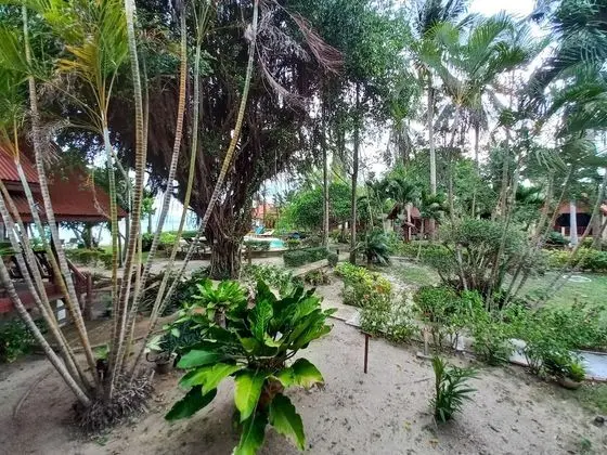 Superior Garden View