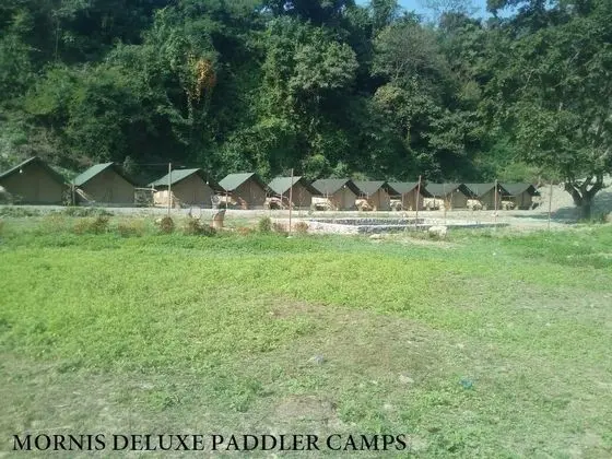 Deluxe Çadır, Sigara İçilmez