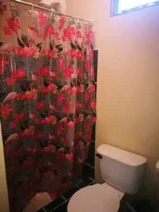 Deluxe Oda, 1 Çift Kişilik Yatak, Özel Banyo