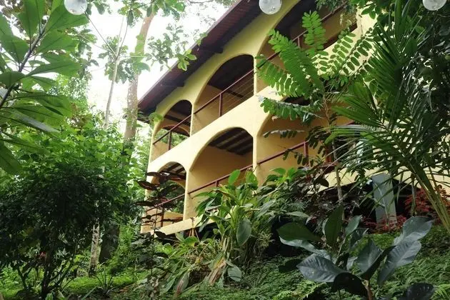 Standard Tek Büyük Yataklı Oda, 2 Büyük (Queen) Boy Yatak, Sigara İçilmez, Okyanus Manzaralı