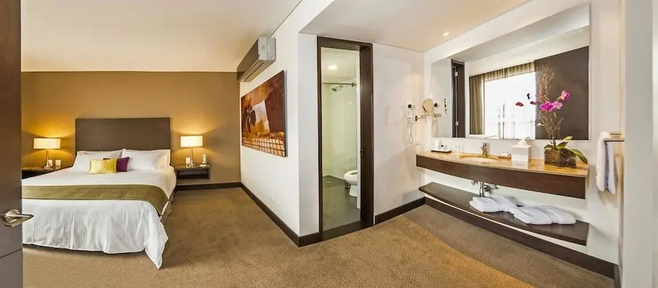Basic Çatı Katı Süiti (Penthouse)