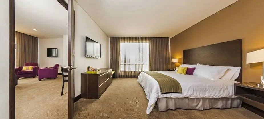 Basic Çatı Katı Süiti (Penthouse)