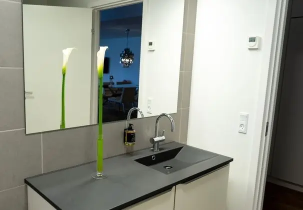Luxury Süit, 2 Yatak Odası, Şehir Manzaralı