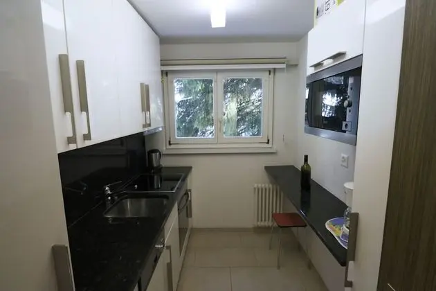 Apart Daire (MosbacherKl; Cleaning Fee 90 CHF)