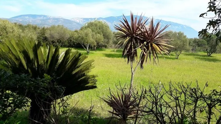 Stüdyo, Mutfak, Dağ Manzaralı