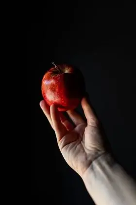 Oda, 1 En Büyük (King) Boy Yatak