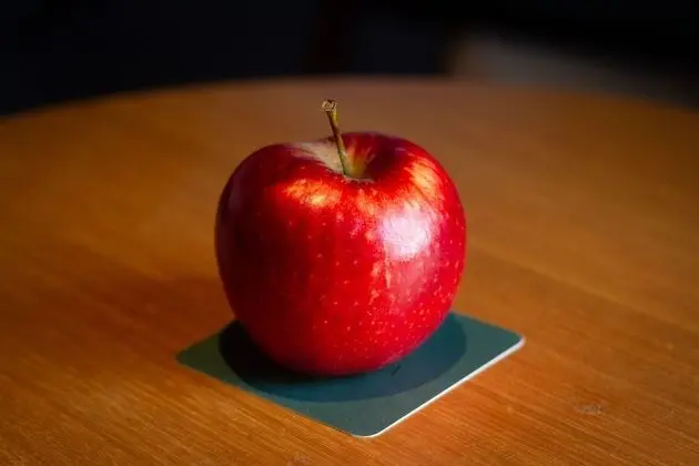 Premium Oda, 1 En Büyük (King) Boy Yatak (Grove Balcony)