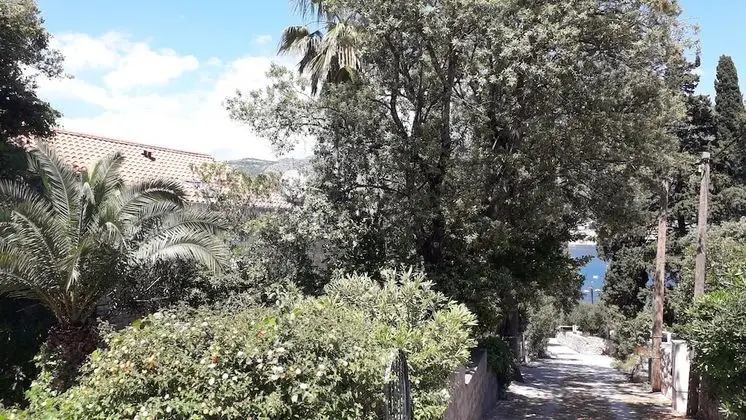 Oda, 2 Yatak Odası, Teras