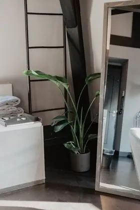 Süit, 1 En Büyük (King) Boy Yatak