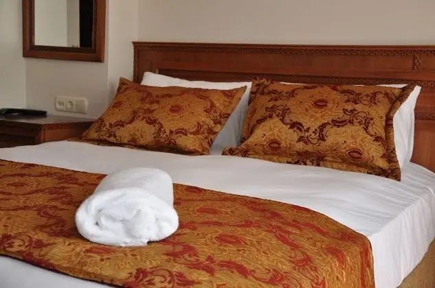 Superior Stüdyo Süit, 1 Çift Kişilik Yatak ve Çekyat, Şehir Manzaralı