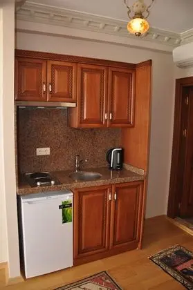 Superior Stüdyo Süit, 1 Çift Kişilik Yatak ve Çekyat, Şehir Manzaralı