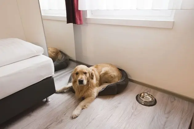 Comfort Tek Kişilik Oda