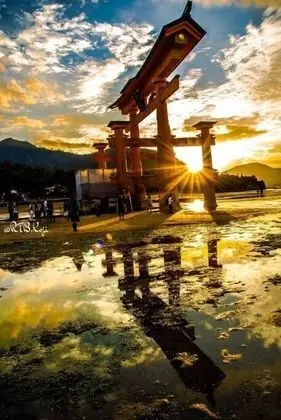 Daire, 4 Yatak Odası