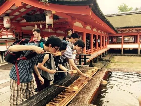 Daire, 4 Yatak Odası