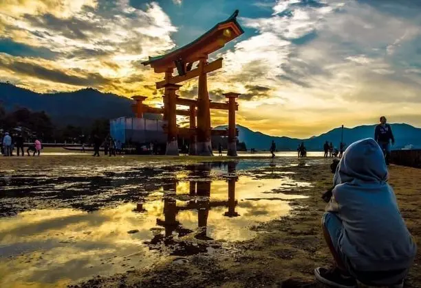 Daire, 4 Yatak Odası