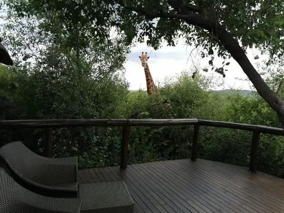 Luxury Oda, 1 Yatak Odası, Şömine, Park Manzaralı