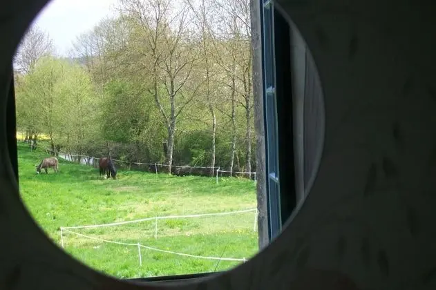 Family Süit (Alluchon et Hérisson)