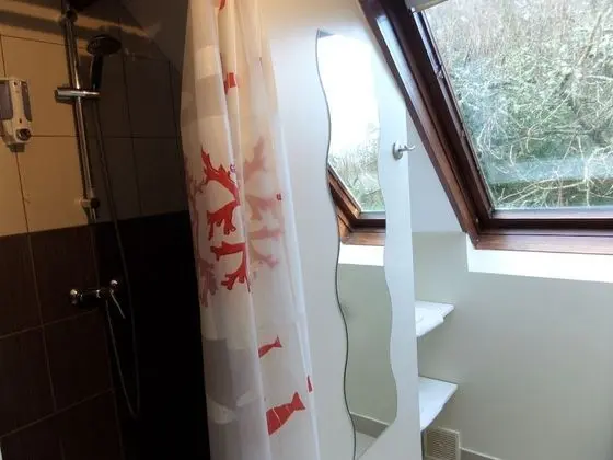 Tek Büyük Yataklı Oda (Rose de la Vie)