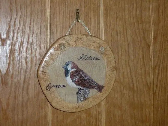 Classic Tek Büyük Yataklı Oda (Le Moineau)